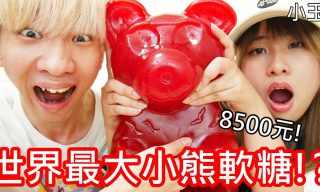 Read more about the article 【小玉】一隻8500！小玉要挑戰世界最大的小熊軟糖！？　