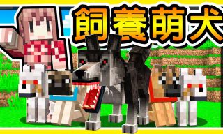 Read more about the article 【阿神】用Minecraft創造狗狗大軍！完成「拯救流浪狗」感人故事
