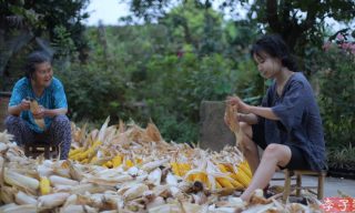 【李子柒 Liziqi】遵循古法從農田到餐桌 秋生夏長的玉米料理DIY