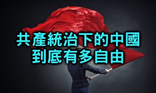 【Jarrow Show蒟蒻真人秀】中國人與臺灣人的思想和自由度差異為何？