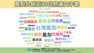 鳳梨外銷近30日熱議文字雲