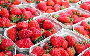 草莓季來了！網推綿密蛋糕體搭草莓好吃又療癒