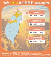 全台TOP4向日葵景點 網路聲量排行