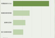 網友熱議TOP4落髮原因排行