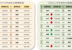 2024年下半年與2025年上半年 房地產社群 TOP20關鍵熱詞