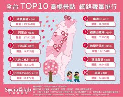 「武陵農場」櫻花步道春季不可錯過 「阿里山」迷糊步道成賞櫻秘境