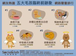 「食慾不振」不吃不喝需有心理準備 失禁、嘔吐無法自控更需飼主包容